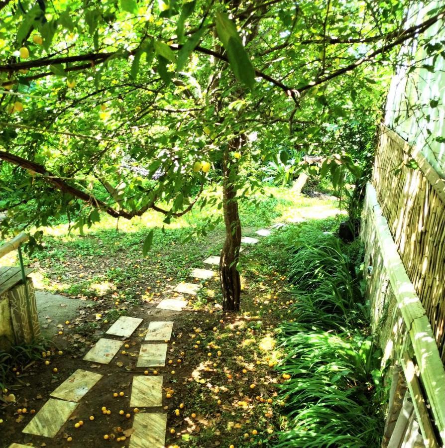 Hostel eco chakvi Esterno foto